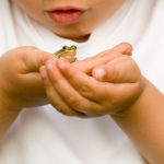 Kind mit Frosch