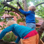 Kinder im Kirschbaum